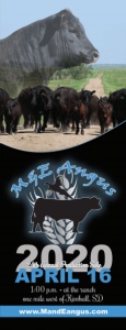 Cover300