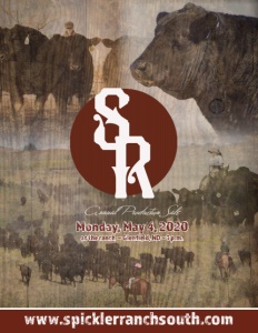 Cover300
